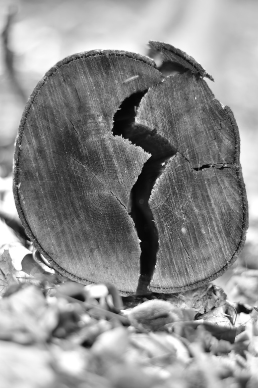 2020-08-23 Fürstenberg/DSC_5177.JPG